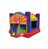 Party Bounce House
