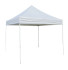 Canopy