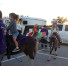 Pony Carousel