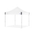 Canopy – 10 x 10