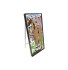 Pin the Tail Carnival Game