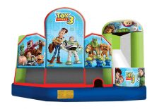 toy story water slide