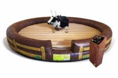 Premium Mechanical Bull - Rodeo Corral
