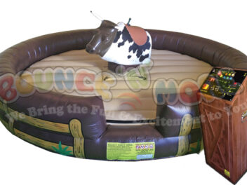 Mechanical Bull