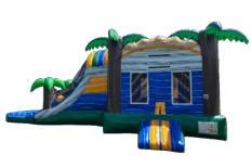 Tropical Oasis Combo - Pool