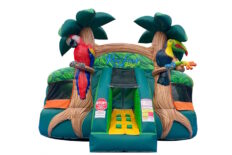 Rainforest KidZone Combo