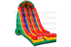 27' Ruby Rush - 2 Lane