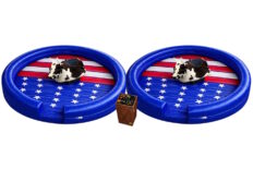 Liberty Double Mechanical Bull